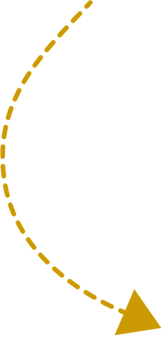 Pfeil nach unten Startseite